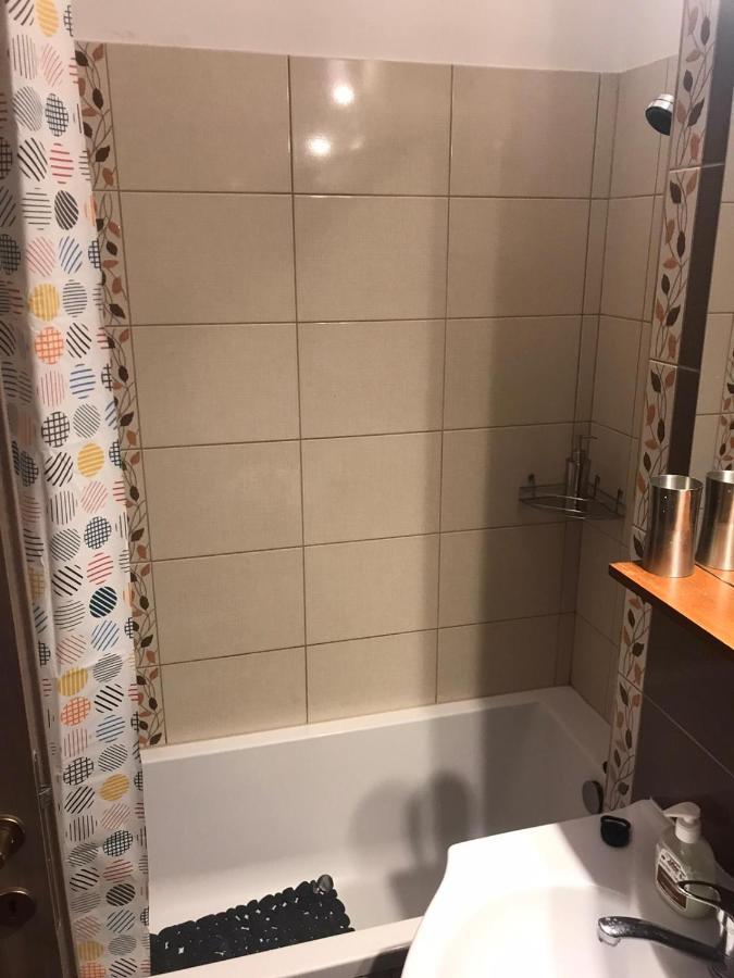 Family Studio Central Apartment Cluj Napoca Bagian luar foto